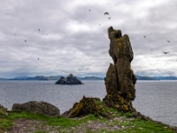 Sceilg Mhichíl / Skellig Michael